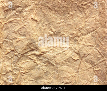 Creases subjected dan brown paper texture pattern abstract background. Stock Photo