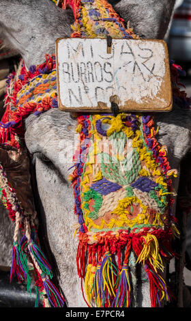 Spain, Mijas, Close up of colorful harness on donkeys head Stock Photo