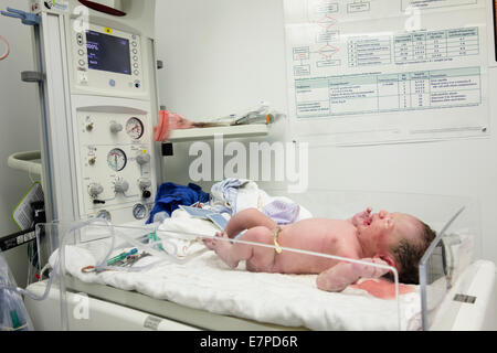 Newborn girl Stock Photo