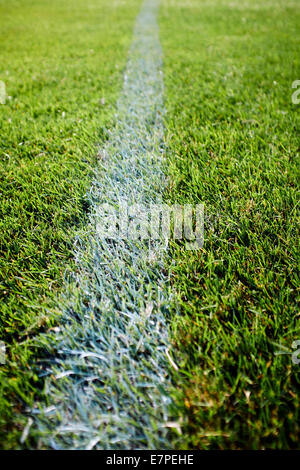 White line on grass for Sports Stock Photo - Alamy