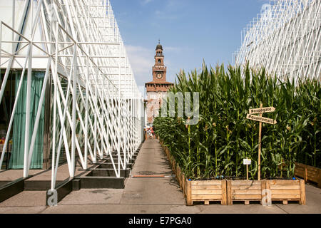 Milan, Expo 2015, EXPOGATE,  Fair Universal, Sforzesco castle, city, gate, infopoint, corn flower beds, signpost, Italy Stock Photo