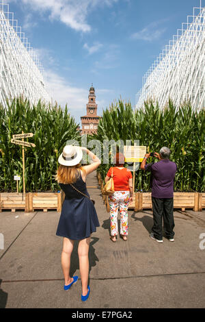 Milan, Expo 2015, EXPOGATE, Fair Universal, Sforzesco castle, city, gate, infopoint, signpost, corn flower beds, people, Italy Stock Photo