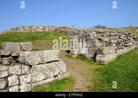 Hadrian's Wall and Milecastle number 42 at Cawfields. Stock Photo