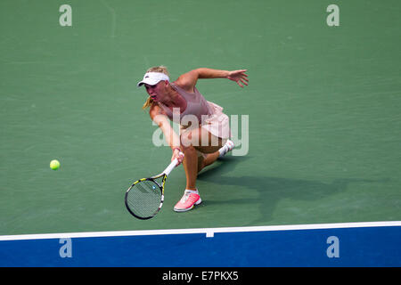 Flushing Meadows, NY, USA. 31th Aug, 2014. Caroline Wozniacki (DEN) defeats Maria Sharapova (RUS)  in 4th round action at the US Stock Photo