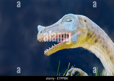 A life size Ornithomimus dinosaur figure prowls the forest Stock Photo ...