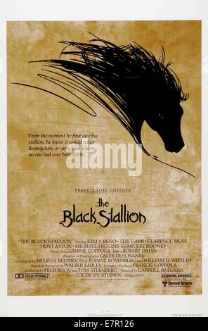 THE BLACK STALLION USA 1979 Carroll Ballard Alec Ramsey (KELLY RENO ...