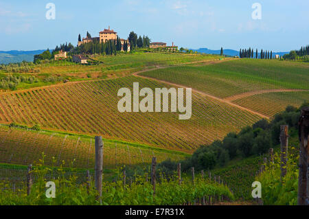 Chianti, Radda in Chianti, Vineyards,Tuscany landscape, Siena Province, Tuscany, Italy, Stock Photo