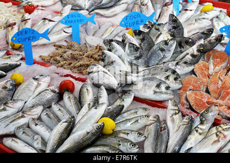 An Array of Fresh Fish on Sale