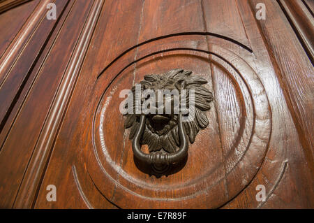 wooden front door with a lion knocker Stock Photo