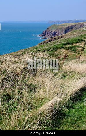 view from a high cliff on Caldey Island, Pembrokeshire, Wales.Mainland Wales in the distance Stock Photo