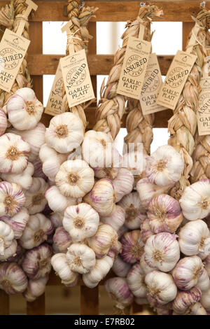 The Isle of Wight Garlic Festival, Newchurch, near Sandown, Isle of Wight, England, UK Stock Photo