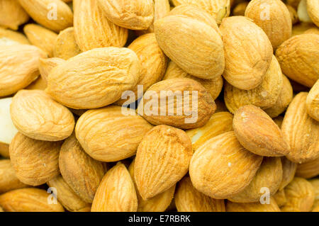 Apricot seed lots of close-up Stock Photo