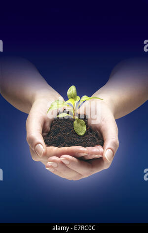baby sprout in a hand Stock Photo
