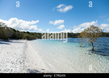 Lake McKenzie, Fraser Island, Queensland, Australia Stock Photo