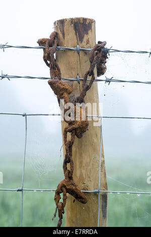 Old rusty chain hanging on barbed wire fence Stock Photo