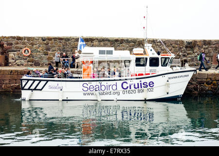 People on board the Seabird tourist Cruise boat in North Berwick harbour, Scotland Stock Photo