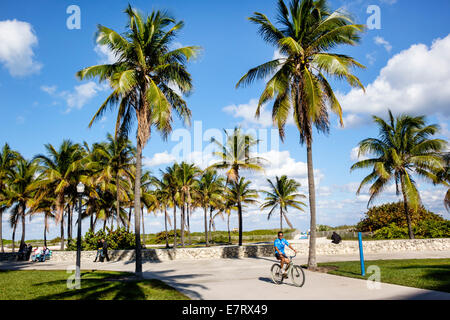 Miami Beach Florida,Lummus Park,Serpentine Trail,palm trees,bike path,man men male,biking,bicycle,bicycling,riding,biking,rider,good weather,tropical, Stock Photo