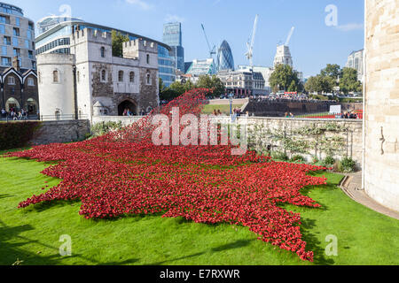Ceramic red poppies create a 'field of blood' to commemorate the centenary of world war one at the Tower of London. Stock Photo