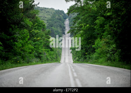 Long and winding empty road through the forest Stock Photo