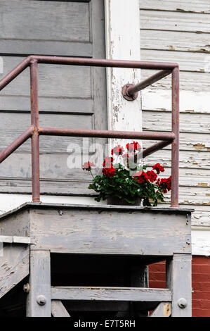 Railing and Geranium, Wharf Area Historic District, Staunton, Virginia Stock Photo