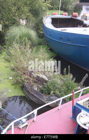 Sunken boat/barge with plants growing out of it in canal at Wakefield West Yorkshire. Eco recycling Stock Photo