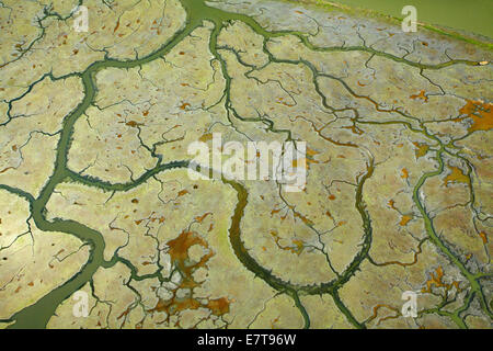 Chanels on Greco Island, Don Edwards San Francisco Bay National Wildlife Refuge, San Francisco, California, USA - aerial Stock Photo