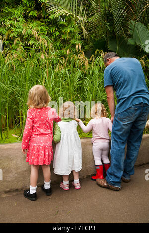 Four 4 year old girl / child / & two 2 year old sister kid infant + boys study pond with reeds / grasses. Eden Project Biomes UK Stock Photo