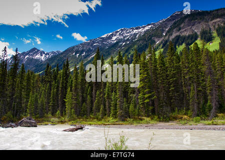 Numa Falls, Kootenay National Park, British Columbia, Canada Stock Photo