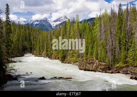 Natural Bridge, Kicking Horse River Valley, Yoho National Park, British Columbia, Canada Stock Photo