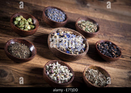 The ancient Chinese medicine, herbs and infusions Stock Photo