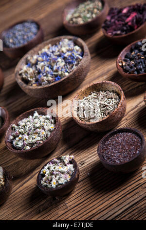 The ancient Chinese medicine, herbs and infusions Stock Photo