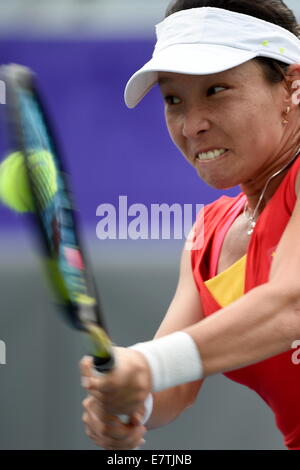 Incheon, South Korea. 24th Sep, 2014. Zheng Jie of China returns the ball during the singles competition of the women's team gold medal match of tennis against Chinese Taipei at the 17th Asian Games in Incheon, South Korea, Sept. 24, 2014. Zheng Jie won with 2-1. Credit:  Gao Jianjun/Xinhua/Alamy Live News Stock Photo