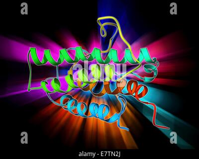 Erythropoietin. Molecular model of the human erythropoietin (EPO) hormone. Erythropoietin regulates blood oxygen levels in the body, when levels are low it is released to stimulate the formation of red blood cells. It is used illegally as a performance-en Stock Photo