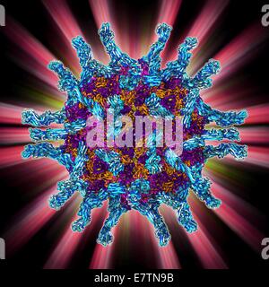 Human poliovirus particle. Molecular model of the capsid of the human poliovirus. The capsid is a protein coat that encloses the virus's genetic information (genome), stored as RNA (ribonucleic acid). The protruding proteins are receptors, which enable th Stock Photo