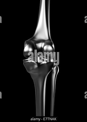 Human knee joint, computer artwork. Stock Photo