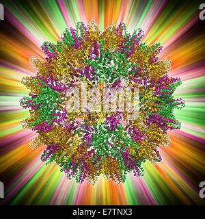 Hepatitis B virus capsid, molecular model. This virus, transmitted through infected bodily fluids or blood, causes the disease hepatitis B in humans, leading to acute liver inflammation. In viruses, the capsid is the protein shell that encloses the geneti Stock Photo