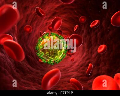HIV (human immunodeficiency virus) infection, computer artwork Stock ...