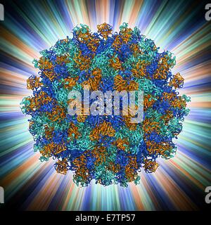 Hepatitis E virus capsid, molecular model. This virus causes the disease hepatitis E in humans. Transmitted by faecal-oral contact, this virus causes low-level liver inflammation that can become more severe. In viruses, the capsid is the protein shell tha Stock Photo