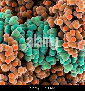 Protein molecules, computer artwork. Stock Photo