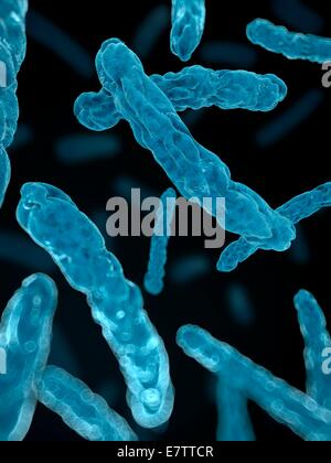 Bacteria, computer artwork. Stock Photo