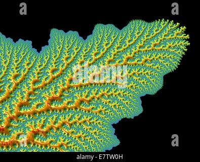 Mandelbrot fractal. Computer graphic showing a fractal image derived from the Mandelbrot Set. Fractals geometry is used to derive complex shapes as often occur in nature. The Mandelbrot Set, named after the mathematician Benoit B. Mandelbrot, is a group o Stock Photo