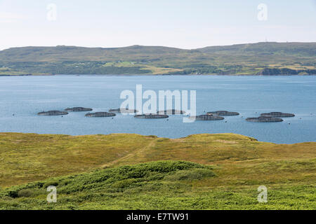 Fish farming or salmon farming  enclosures in a loch on the Isle of Skye Scotland UK Stock Photo