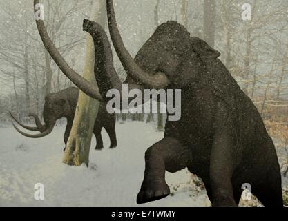 Woolly mammoth in snow, computer artwork. Stock Photo