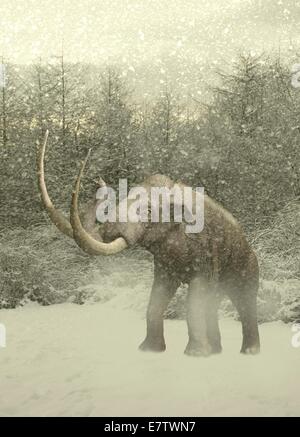Woolly mammoth in snow, computer artwork. Stock Photo