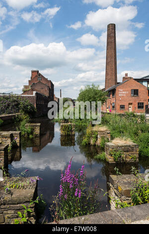 Kelham Island Quarter in Sheffield  a once industrial part of the city now regenerated with modern trendy  flats and apartments Stock Photo