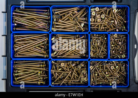 Close up of a plastic storage container, filled with a mixed range of wood screws. Stock Photo