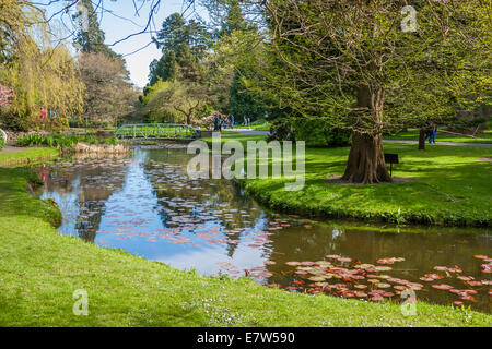 Dublin, Ireland - Apr 19: Beautiful Lake in The National Botanic Gardens in Dublin, Ireland on April 19, 2014 Stock Photo