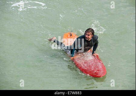 Surfer in wetsuit lying on his surfboard in the sea, looking for a big wave / breaker to surf on