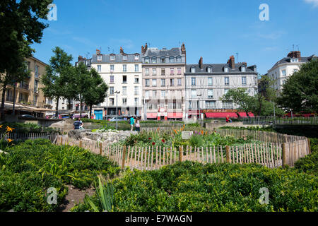Rouen (Normandy, northern France): Square Verdrel in autumn, in the ...