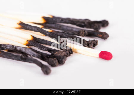 Leadership concept, red headed match standing out from burnt matches, isolated on white background. Stock Photo
